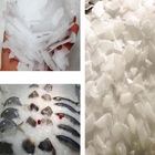 Macchina di fabbricazione di ghiaccio industriale del fiocco 8tons per industria dell'industria della pesca